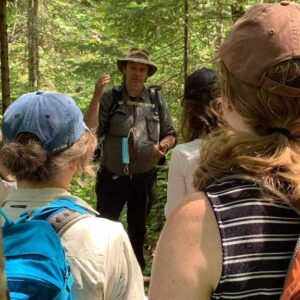 Activités estivales