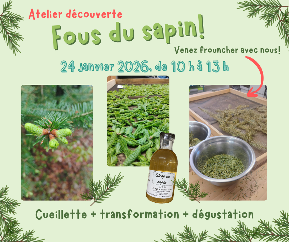You are currently viewing <svg style="background:#c164c9;fill:#000000" focusable="false" role="img" aria-labelledby="cat_145" class="category-icon" xmlns="http://www.w3.org/2000/svg" viewBox="0 0 384 512"><!-- Font Awesome Free 5.15.3 by @fontawesome - https://fontawesome.com License - https://fontawesome.com/license/free (Icons: CC BY 4.0, Fonts: SIL OFL 1.1, Code: MIT License) --><title id='cat_145'>Catégorie: Atelier pratique</title><path d="M336 64h-80c0-35.3-28.7-64-64-64s-64 28.7-64 64H48C21.5 64 0 85.5 0 112v352c0 26.5 21.5 48 48 48h288c26.5 0 48-21.5 48-48V112c0-26.5-21.5-48-48-48zM192 40c13.3 0 24 10.7 24 24s-10.7 24-24 24-24-10.7-24-24 10.7-24 24-24zm121.2 231.8l-143 141.8c-4.7 4.7-12.3 4.6-17-.1l-82.6-83.3c-4.7-4.7-4.6-12.3.1-17L99.1 285c4.7-4.7 12.3-4.6 17 .1l46 46.4 106-105.2c4.7-4.7 12.3-4.6 17 .1l28.2 28.4c4.7 4.8 4.6 12.3-.1 17z"/></svg> Atelier Fous du sapin!