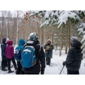 Activités hivernales