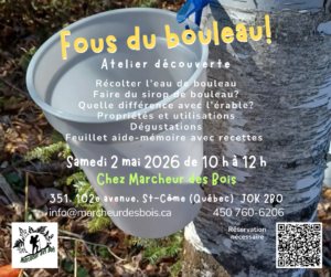 2 mai 2026 – Atelier découverte – Fous du bouleau!