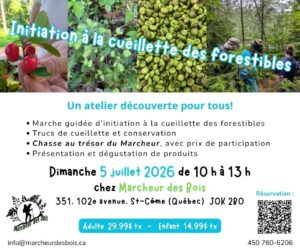 5 juillet 2026 – Initiation à la cueillette des forestibles