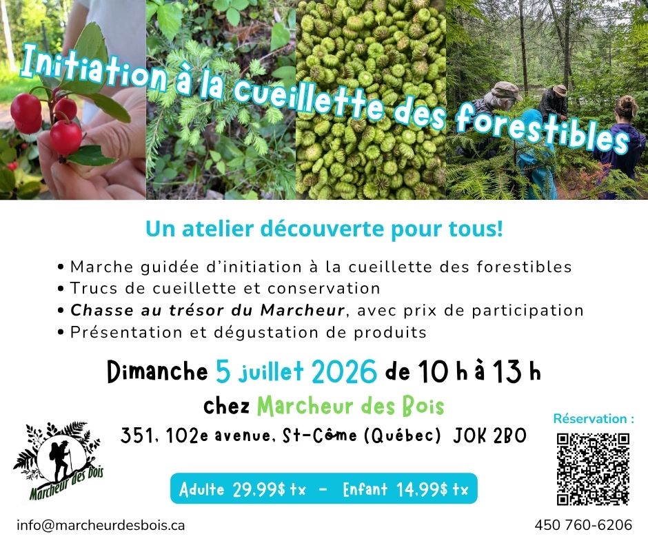 Initiation à la cueillette de forestibles 5 juillet 2026