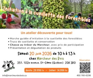 20 juin 2026 – Initiation à la cueillette des forestibles